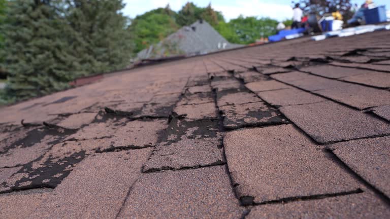  Onalaska, TX Roofing Service Pros